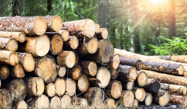 2020-eu-timber-regulation-reports-published-main-main