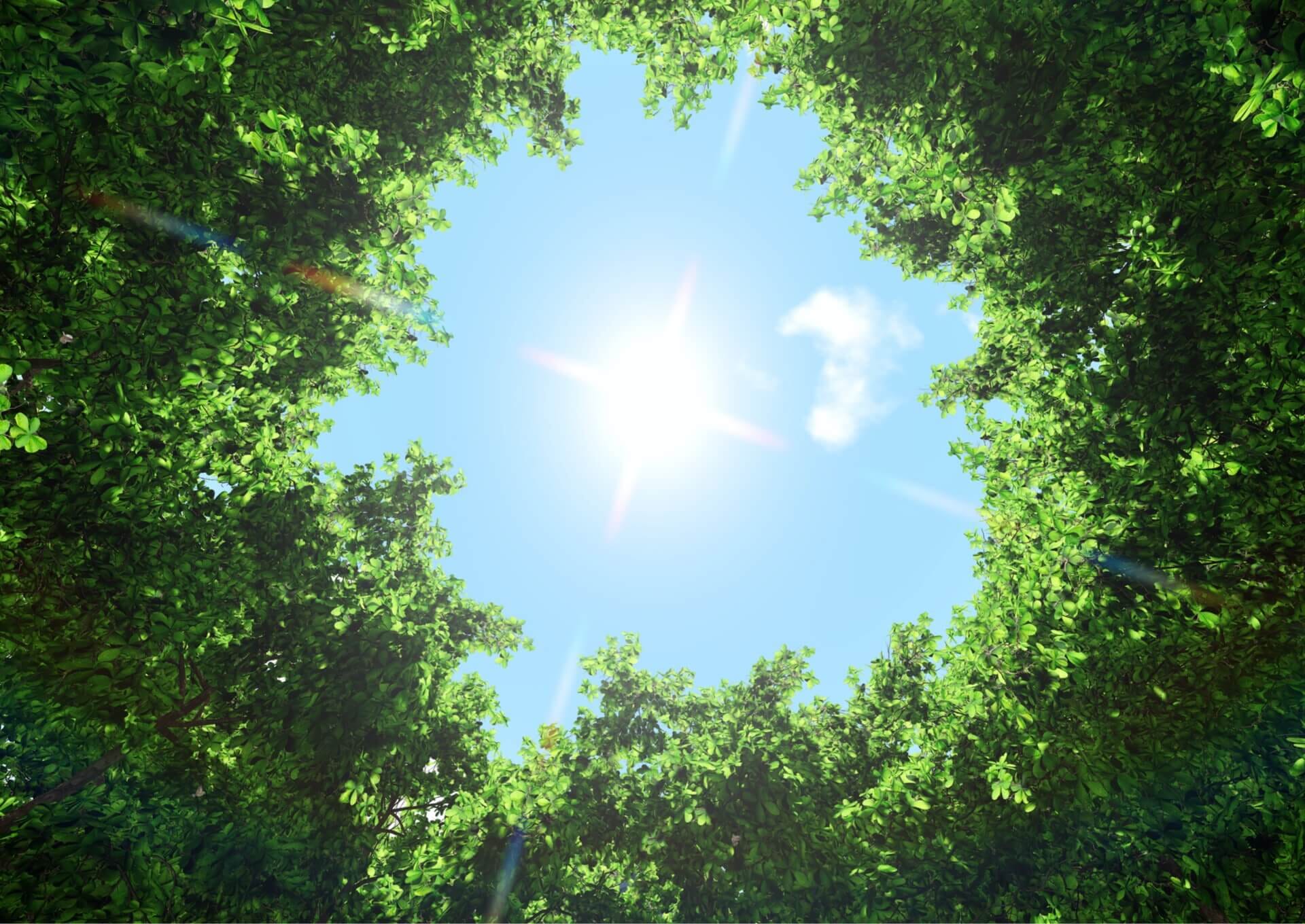 internal-background-2